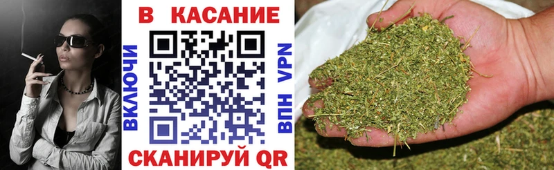 Бошки Шишки Карачев