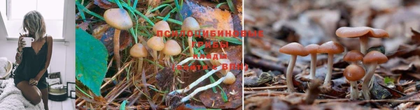 героин Володарск