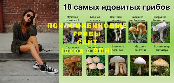 круглые Волосово