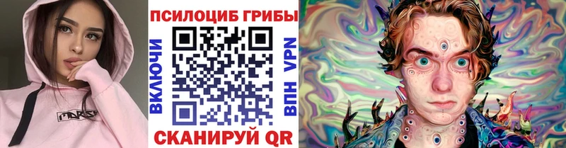 Псилоцибиновые грибы Psilocybine cubensis  Карачев 